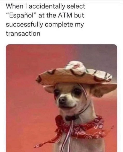 dog spanish.jpg